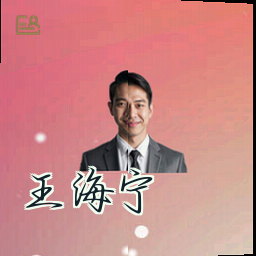 王海宁